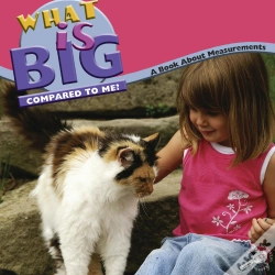 Capa do artigo What Is Big Compared To Me?