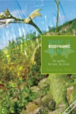 Capa do artigo What Is Biodynamic Wine?
