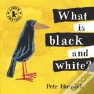 What Is Black And White?
