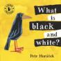What Is Black And White? - Preview
