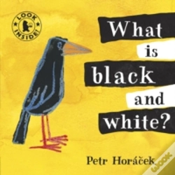 Capa do artigo What Is Black And White?