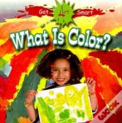 What Is Color?