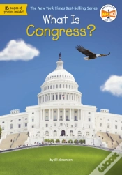 Capa do artigo What Is Congress?