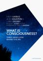 What Is Consciousness? - Preview