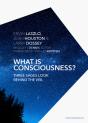 What Is Consciousness? - Preview
