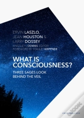 What Is Consciousness?