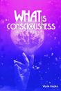 What Is Consciousness - Preview