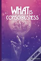 What Is Consciousness