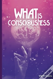 Capa do artigo What Is Consciousness