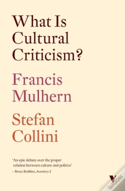 Capa do artigo What Is Cultural Criticism?