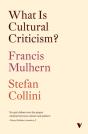 What Is Cultural Criticism? - Preview