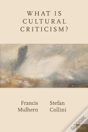Capa do artigo What Is Cultural Criticism?