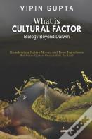 What Is Cultural Factor