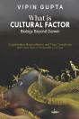 What Is Cultural Factor - Preview