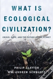 Capa do artigo What Is Ecological Civilization