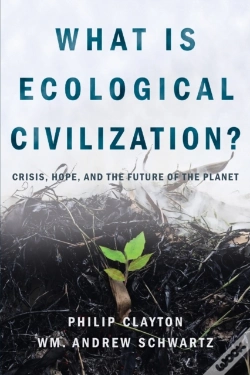 Capa do artigo What Is Ecological Civilization