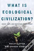 What Is Ecological Civilization