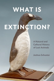 Capa do artigo What Is Extinction?