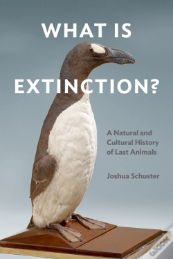 Capa do artigo What Is Extinction?