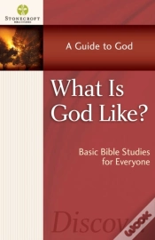 Capa do artigo What Is God Like?