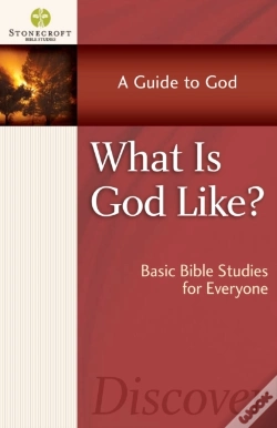 Capa do artigo What Is God Like?