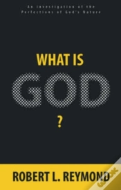 Capa do artigo What Is God?