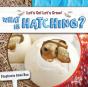 What Is Hatching? - Preview