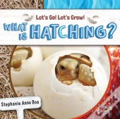 What Is Hatching?