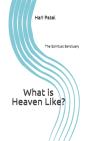 What Is Heaven Like? - Preview