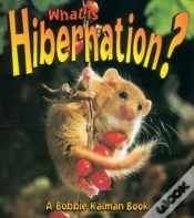 Capa do artigo What Is Hibernation