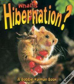 Capa do artigo What Is Hibernation