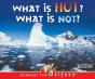What Is Hot? What Is Not? - Preview
