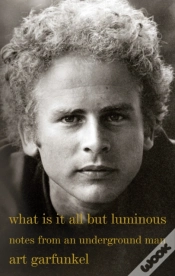 Capa do artigo What Is It All But Luminous
