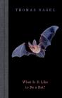 What Is It Like To Be A Bat? - Preview