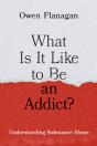 What Is It Like To Be An Addict? - Preview