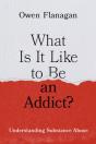 What Is It Like To Be An Addict? - Preview