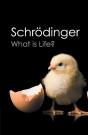 What Is Life? - Preview