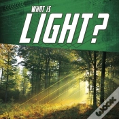 Capa do artigo What Is Light?