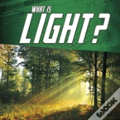 Capa do artigo What Is Light