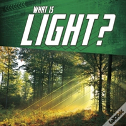 Capa do artigo What Is Light