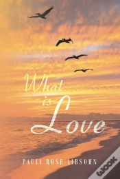 Capa do artigo What Is Love