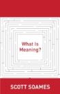 What Is Meaning? - Preview