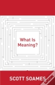Capa do artigo What Is Meaning?