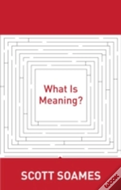 Capa do artigo What Is Meaning?