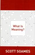 What Is Meaning?