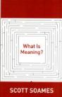 What Is Meaning? - Preview