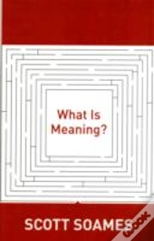 What Is Meaning?