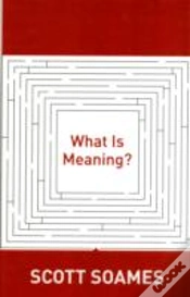 Capa do artigo What Is Meaning?