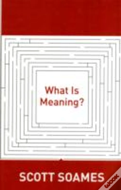 Capa do artigo What Is Meaning?