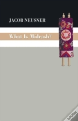 Capa do artigo What Is Midrash?